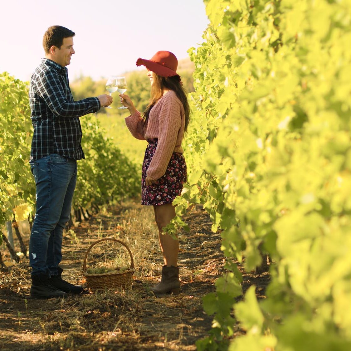 Caucasian couple clinking glasses in a vineyard and tasting wine. Dolly slide shot.